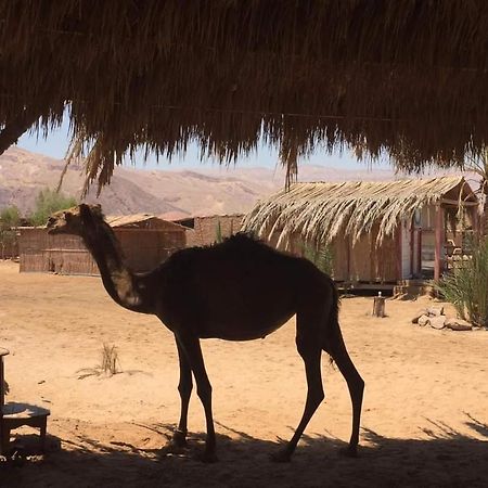 Diana Beach Camp Ξενοδοχείο Nuweiba` Εξωτερικό φωτογραφία