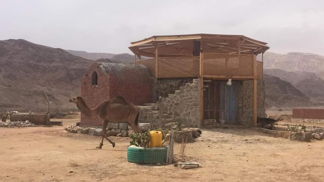 Diana Beach Camp Ξενοδοχείο Nuweiba` Εξωτερικό φωτογραφία