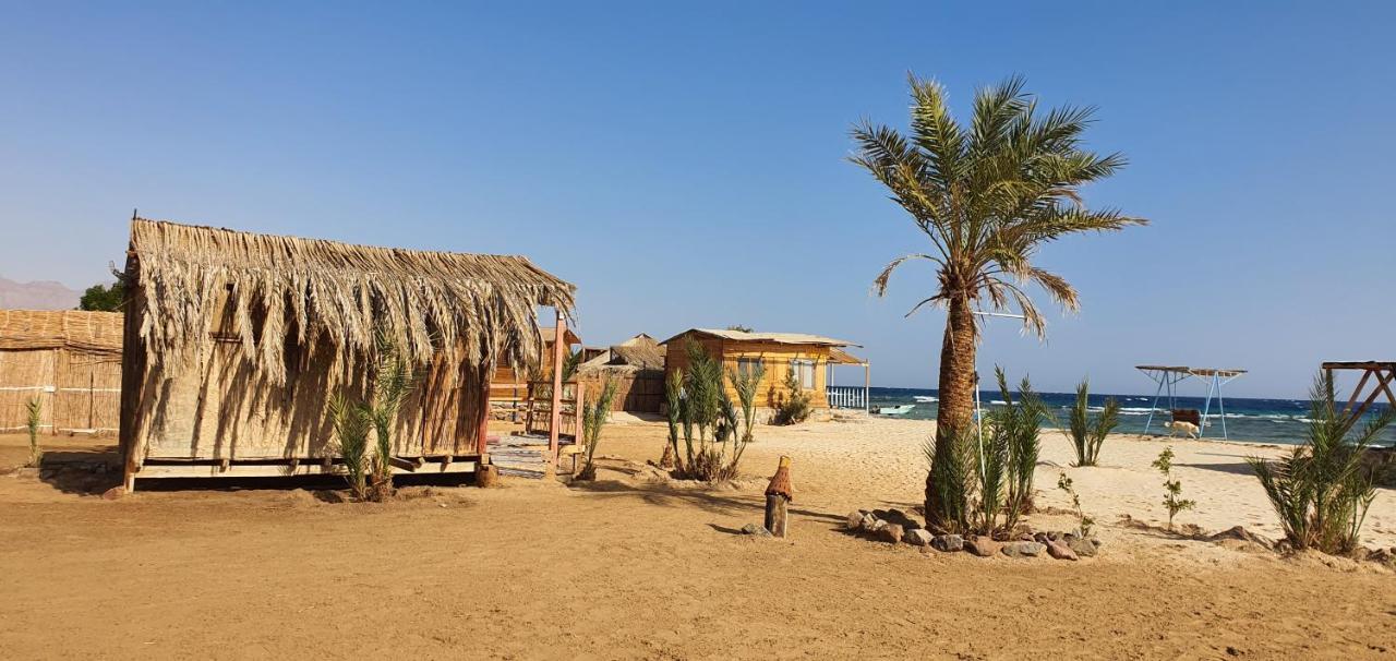 Diana Beach Camp Ξενοδοχείο Nuweiba` Εξωτερικό φωτογραφία